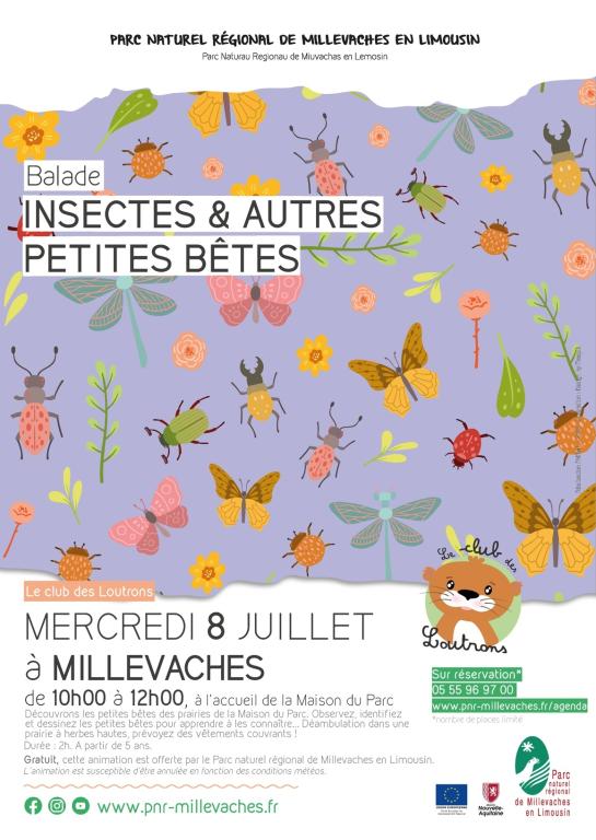 Atelier insectes et autres petites bêtes