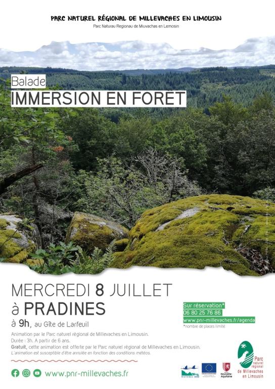 Immersion en forêt