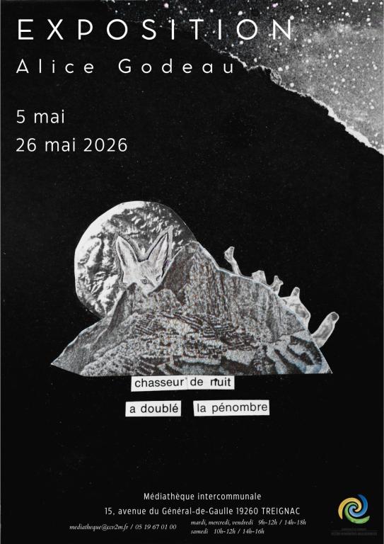 Médiathèque : Exposition Alice Godeau