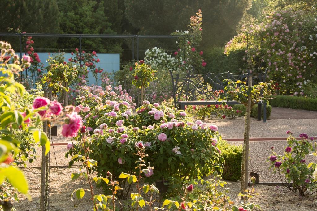 Rendez-vous aux jardins : Thème : « Les cinq sens au jardin : la vue »