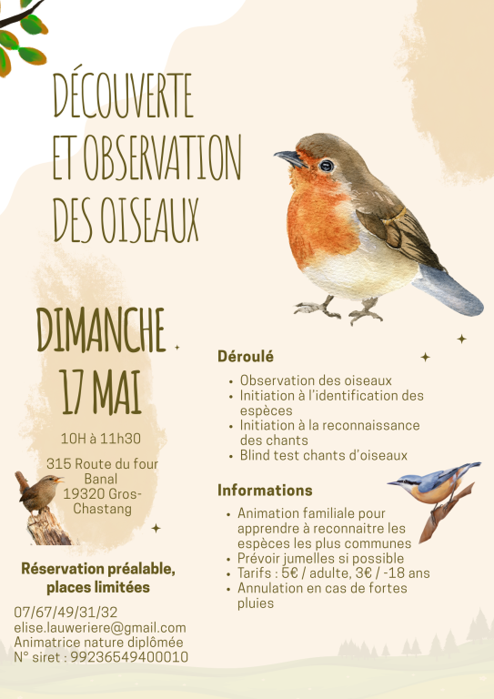 Découverte et observation des oiseaux