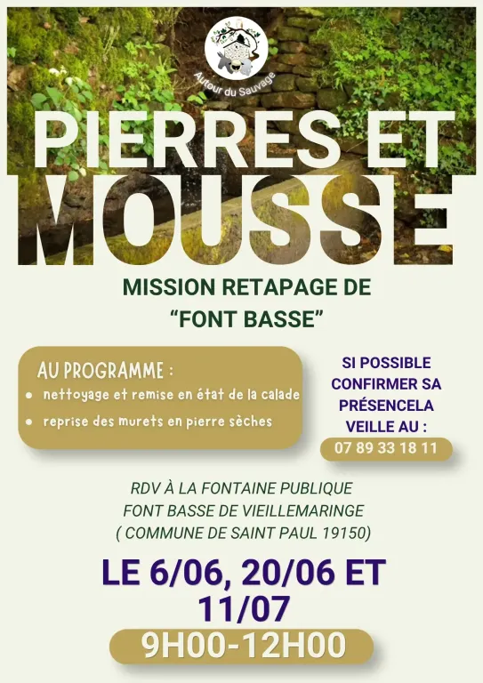 Pierres et mousse : retaper la fontaine Font basse