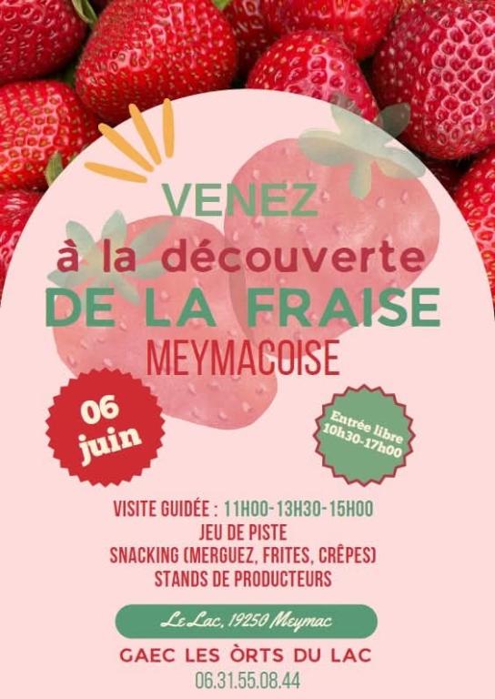 Venez à la découverte de la fraise meymacoise