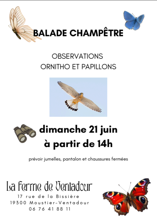 Balade champêtre