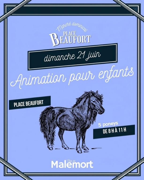 Marché dominical Le Corrézium : animation poneys