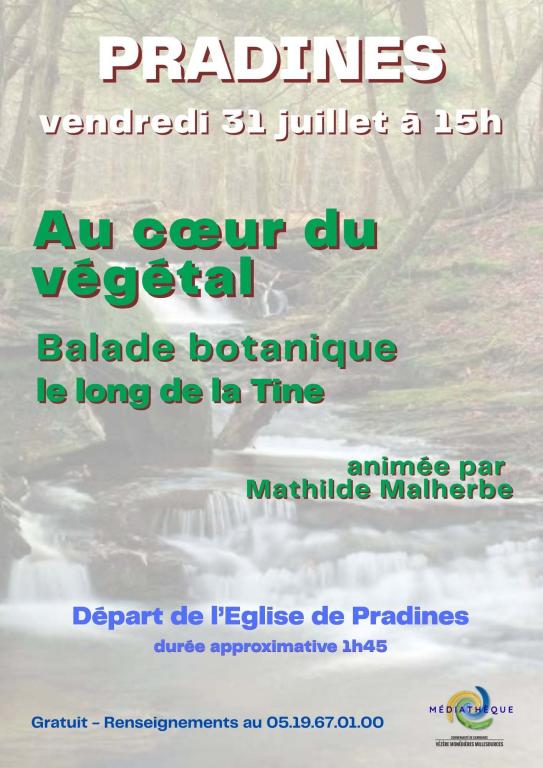 Balade botanique : Au cœur du végétal