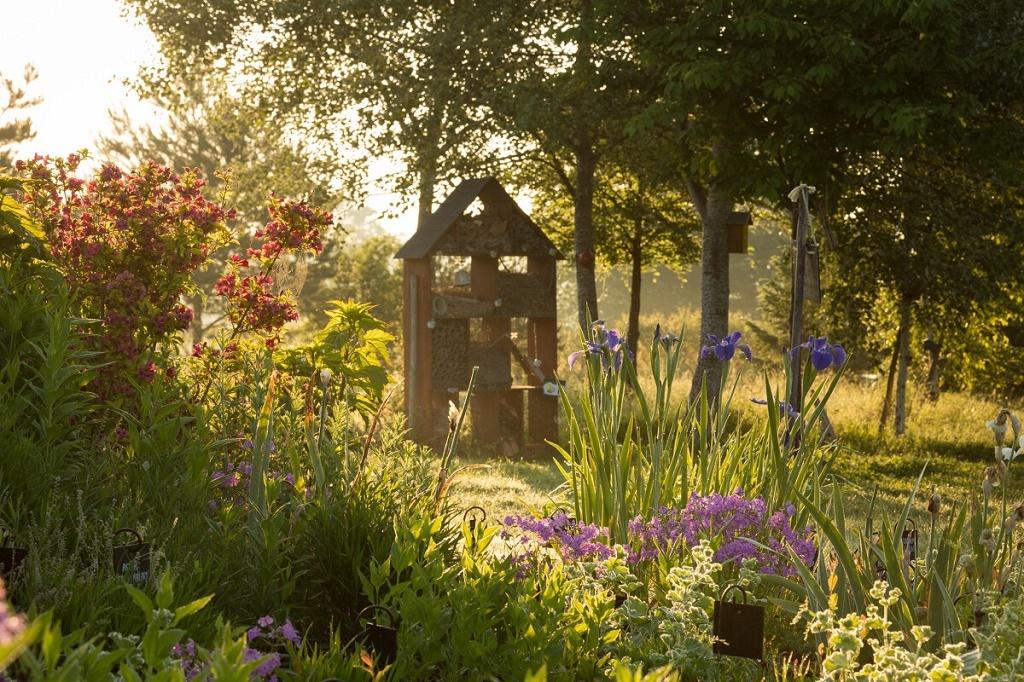 Les journées du patrimoine aux Jardins de Colettt