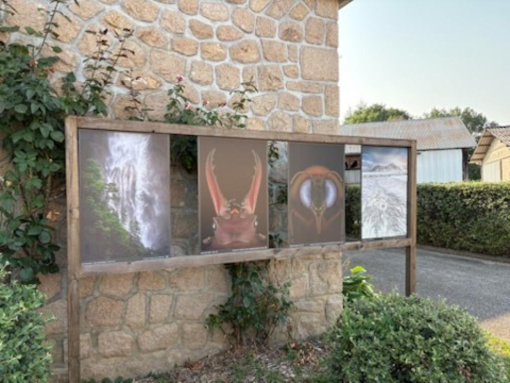 Exposition Egletons Photo Nature