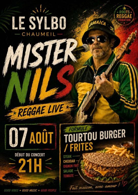 Concert Mister Nils