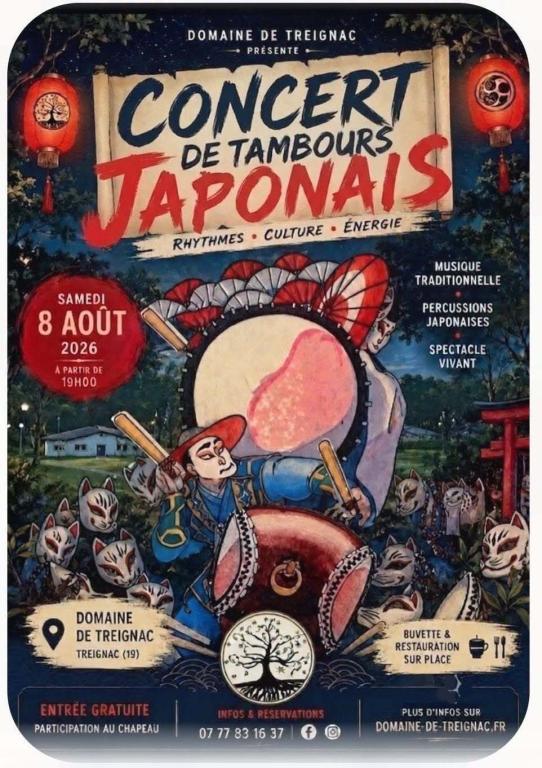 Concert de tambours japonais