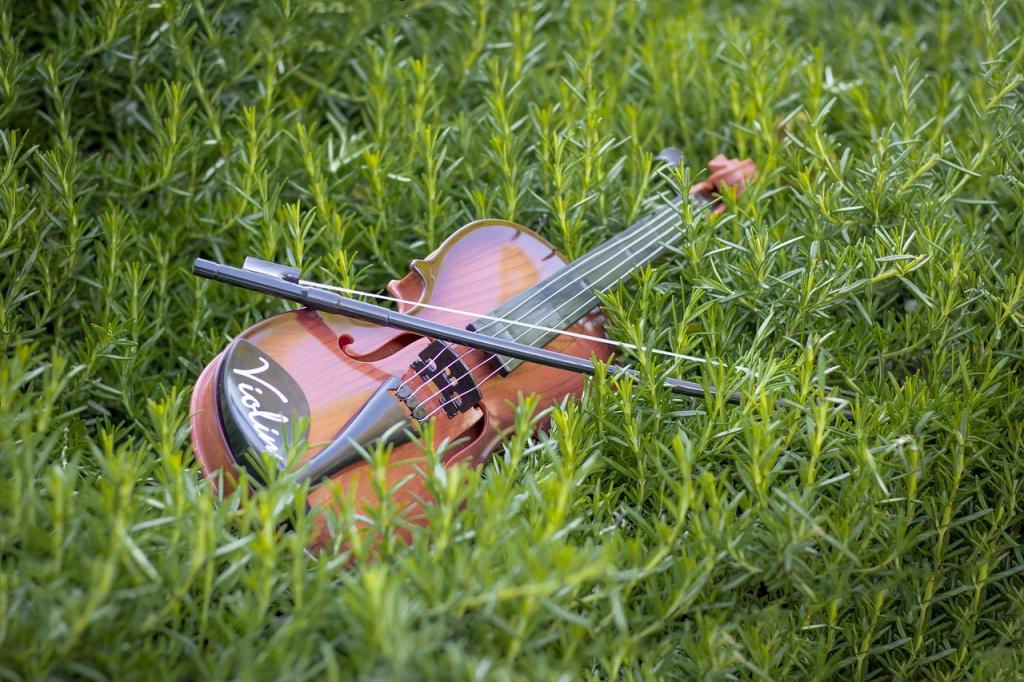 Les Amis de Ségur : Concert flûte - violon