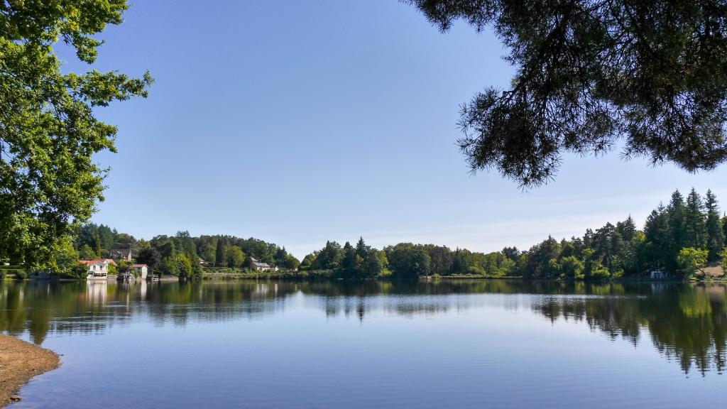 Voilco-Aster Base  1