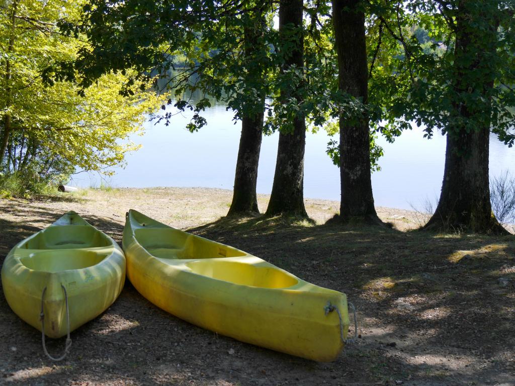 Voilco-Aster Base  1