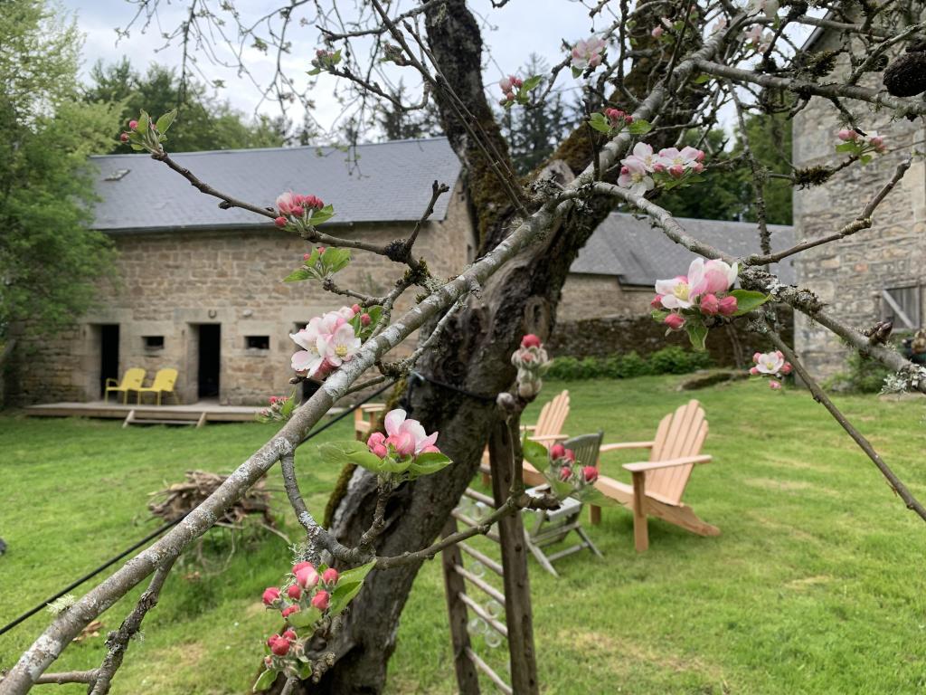 Gîte d'étape l'Insolite