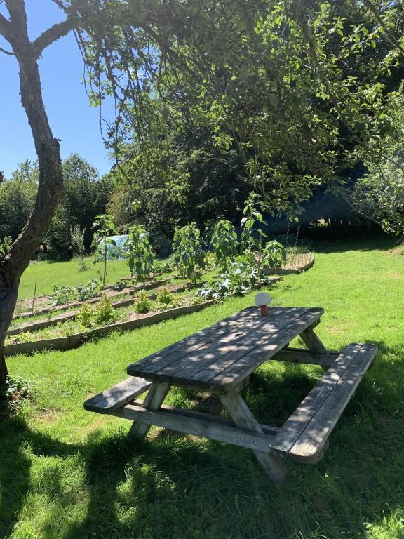 Gîte d'étape l'Insolite