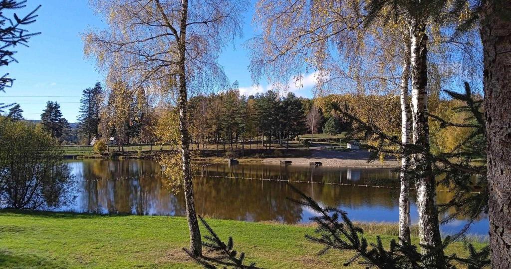 Location Ensemble Lemoine