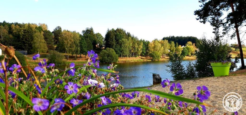 Location Ensemble Lemoine