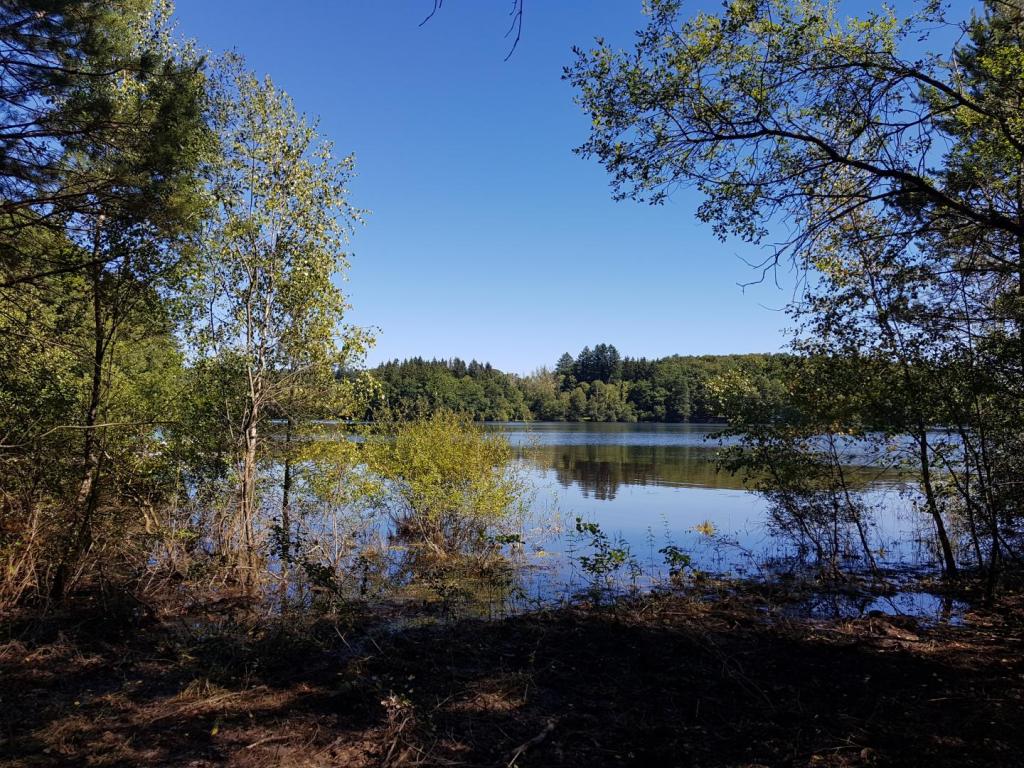 Ma Cabane au Bord du Lac