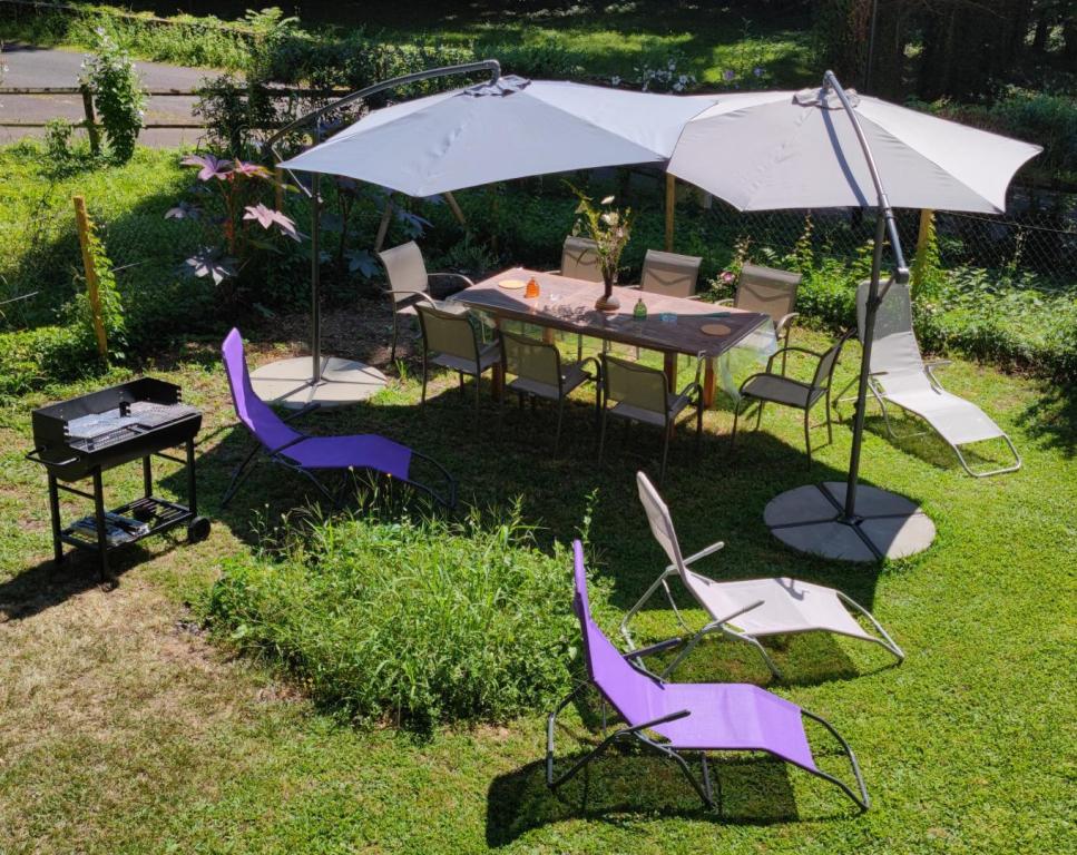 Au fil de La Bontat ~ Vézère