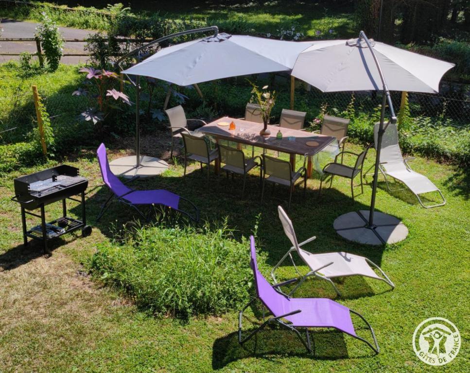 Au fil de La Bontat ~ Vézère