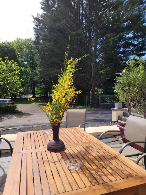 Au fil de La Bontat ~ Vézère