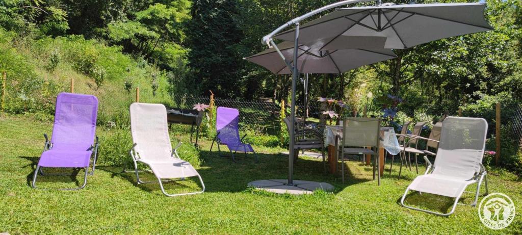 Au fil de La Bontat ~ Vézère