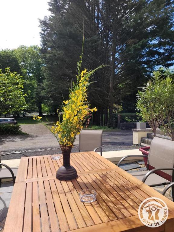 Au fil de La Bontat ~ Vézère