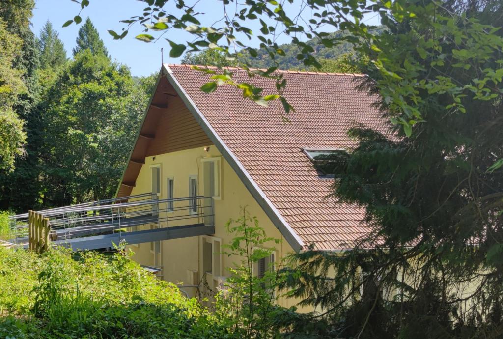 Au fil de La Bontat ~ Vézère