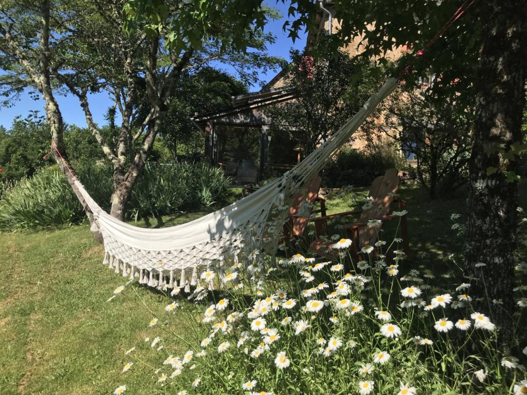 L'Espace Champêtre  - gîte Panoramique