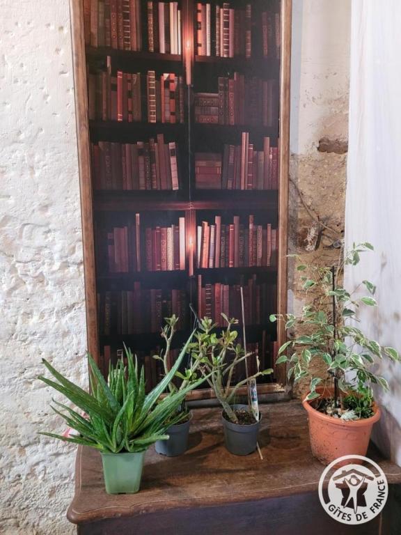 Gîte de la Pépinière de Chapi