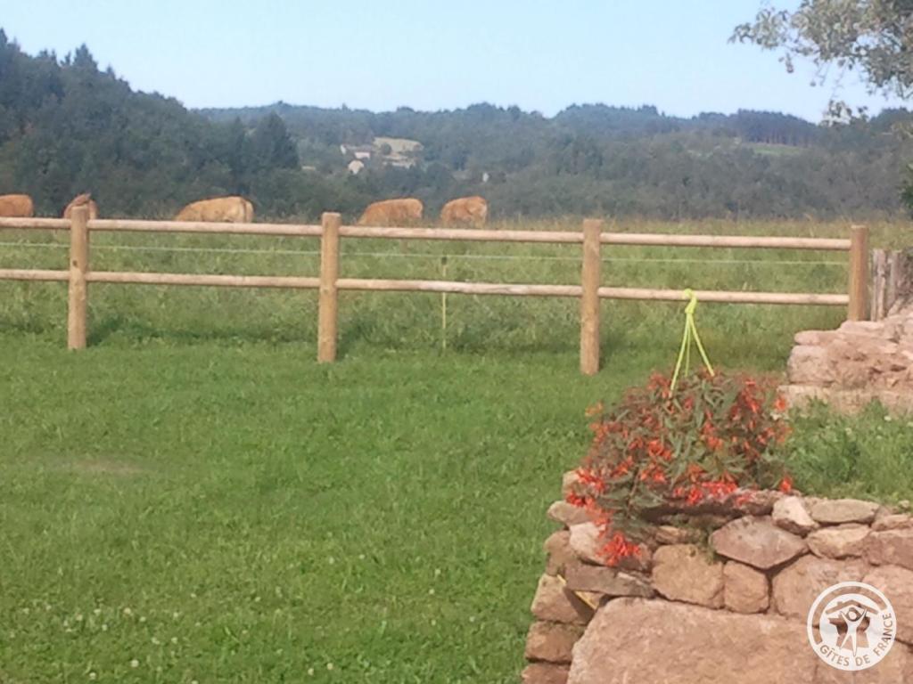 La Chaumière Libellule