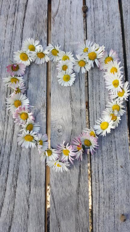 L'Atelier du Reyrand - Gîte