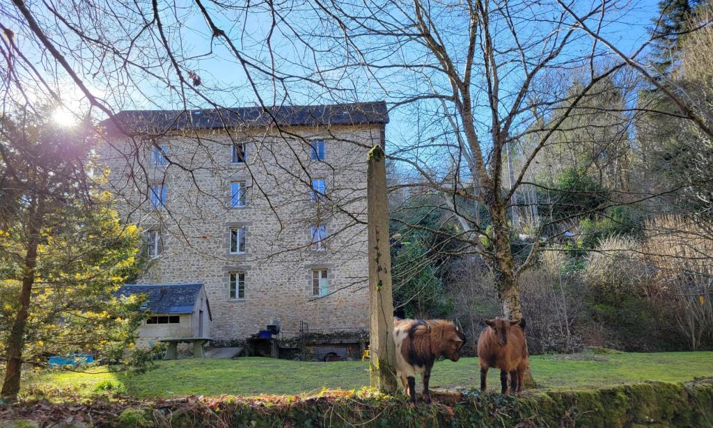 4 Appartements @Moulin SAGE