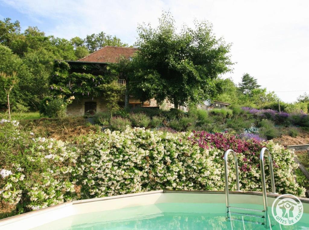 The House on the Hill