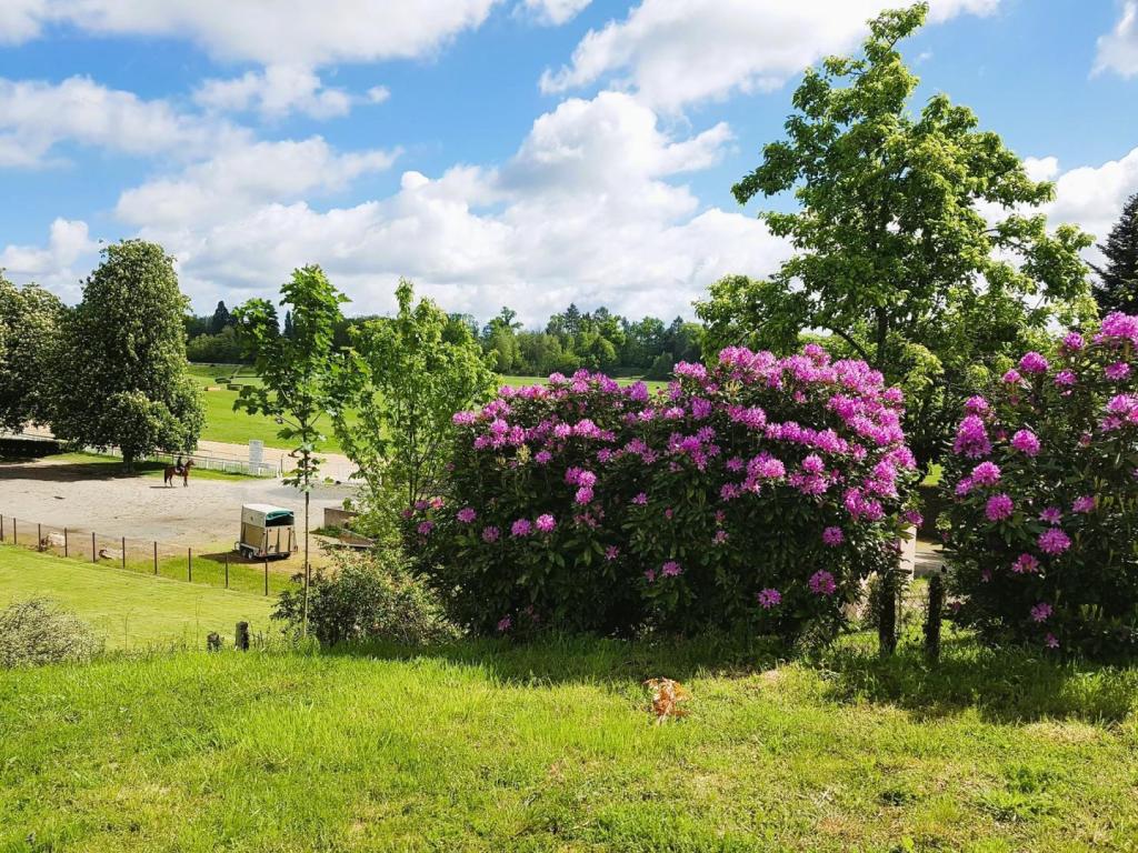 Location Gîtes de France n° 19G3005