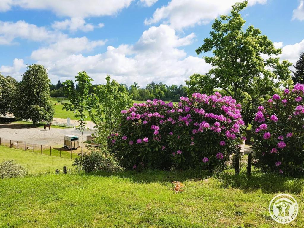 Location Gîtes de France Oiseau Bleu