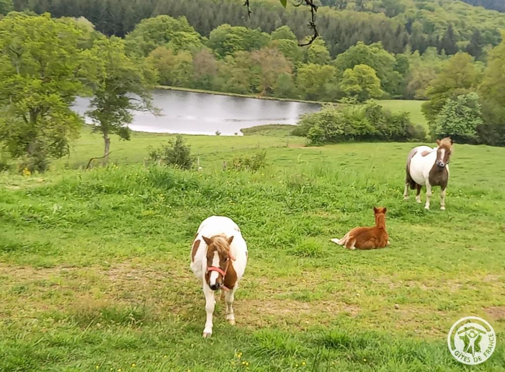 Location Gîtes de France des Mille étoiles