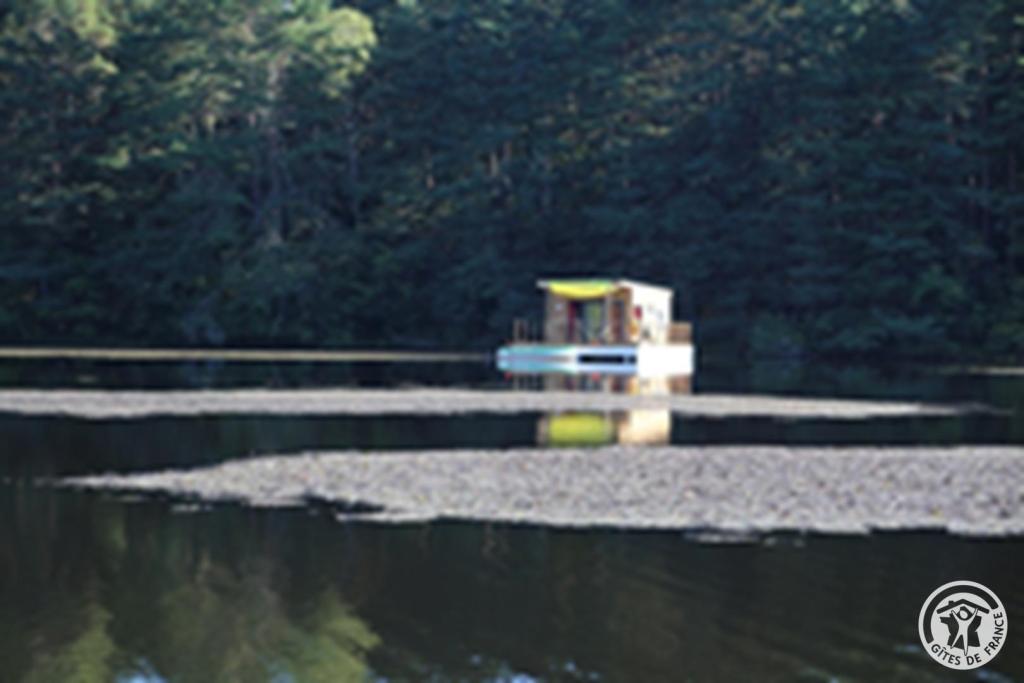 Nénuphar