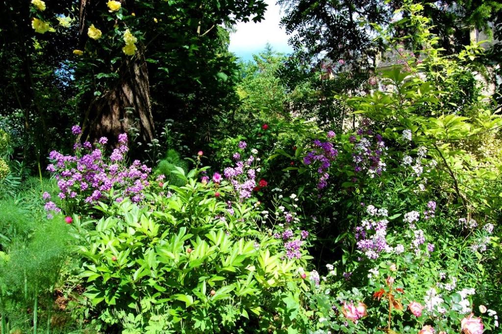 Chambres d'Hôtes du Jardin de la Raze