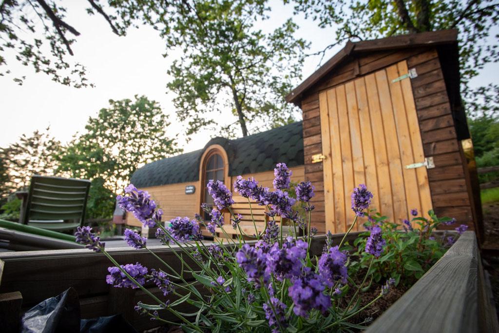 Les cabanes au bord du monde - La Cabane inattendue