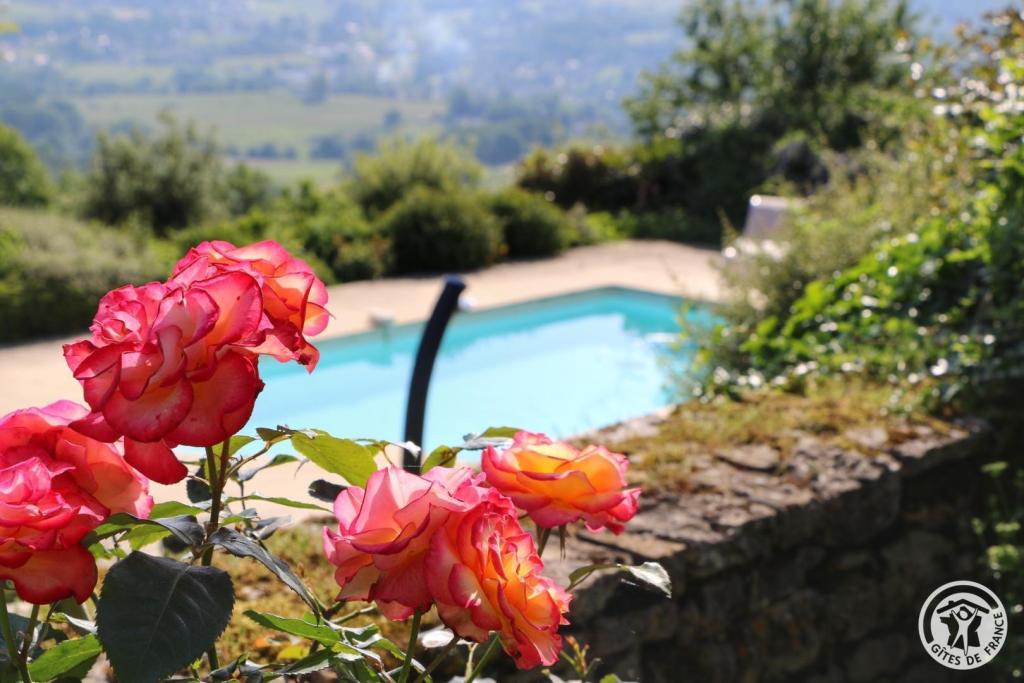 Lescure-Haute