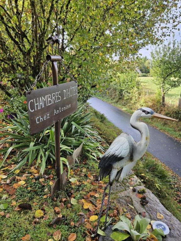 Les Chambres d'Antonine