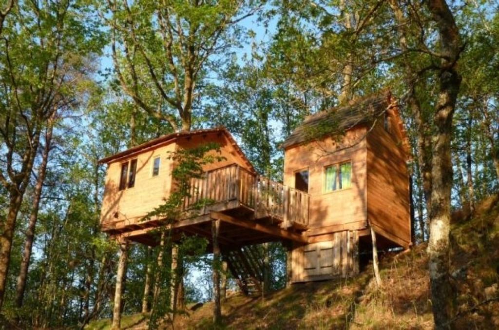 Hêtre sous le Charme