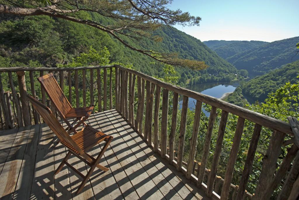 Hêtre sous le Charme