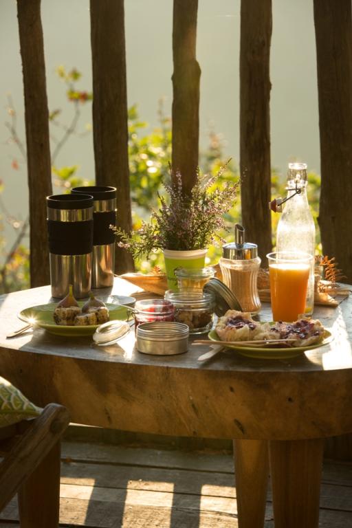 Hêtre sous le Charme