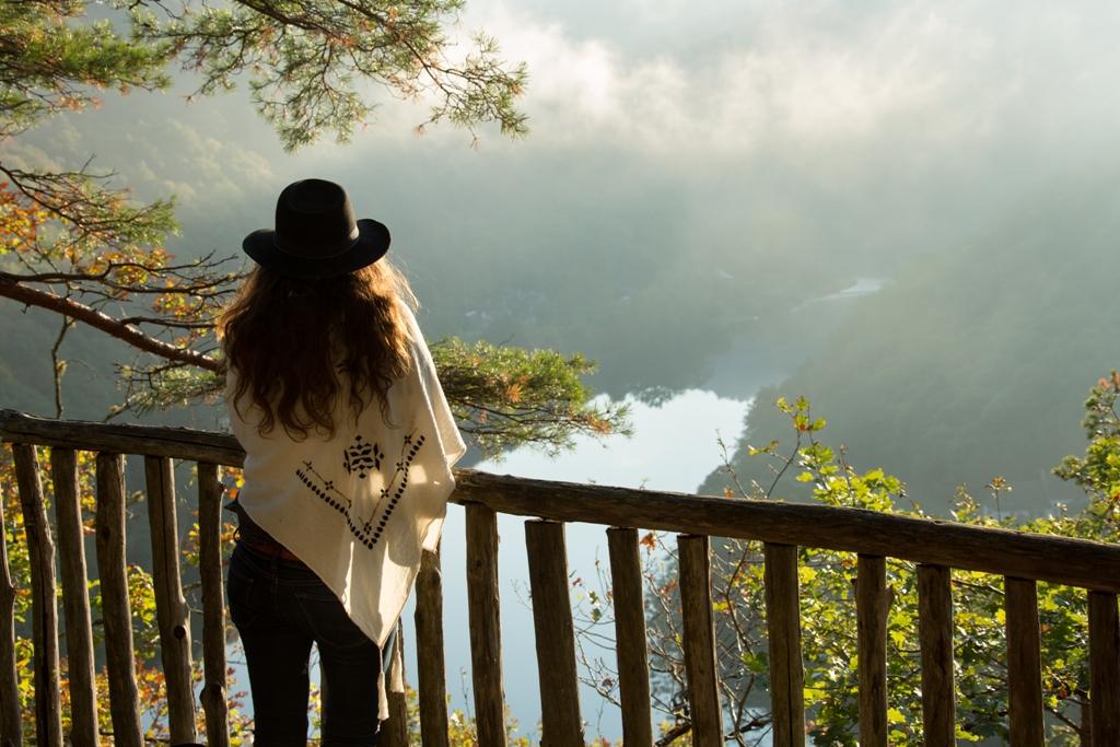 Hêtre sous le Charme