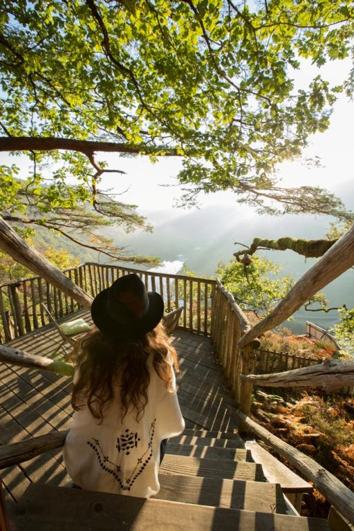 Hêtre sous le Charme