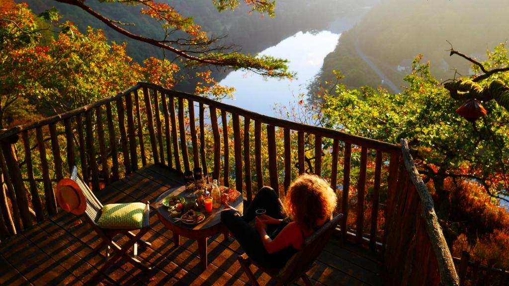 Hêtre sous le Charme