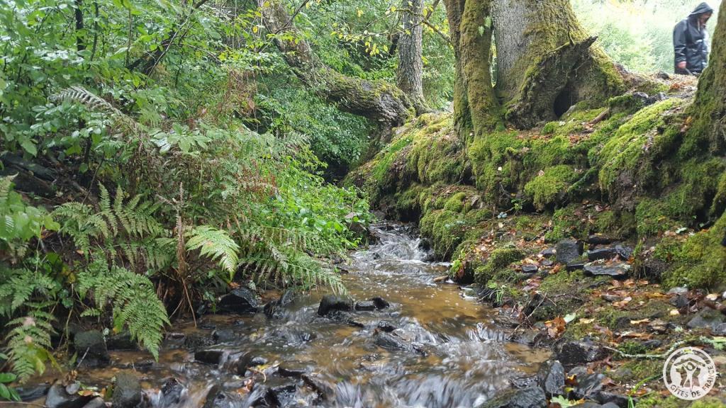 La Margo à La ferme des histoires mélangées