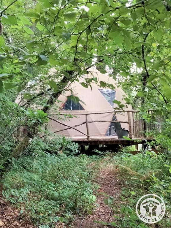 La séléné à La ferme des histoires mélangées